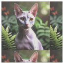 Search for hairless cat Pet