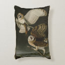 Search for audubon birds cushions Illustration