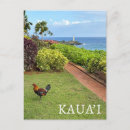 Search for hawaii souvenirs postcards Palm trees