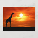 Search for animal silhouettes postcards Giraffe