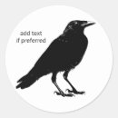 Search for corvids Crow