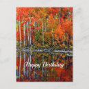Search for orange tree Birthday