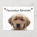Search for reminder postcards Veterinary