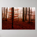 Search for lung posters Nature