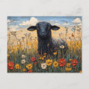 Search for black lamb postcards Sheep