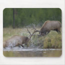 Search for bull elk mousepads Antler