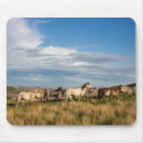 Search for roosevelt theodore electronics Farm