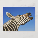 Search for communicate postcards Humour