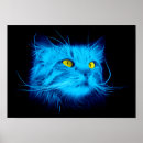 Search for person posters Kitty