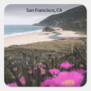 Search for francisco stickers United states of america