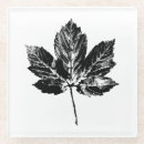 Search for maple leaf coasters Nature