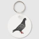 Search for pigeon key rings Dove