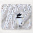 Search for chickadee mousepads Wildlife