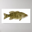 Search for smallmouth posters Fish