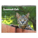 Search for savannah calendars Cat