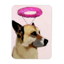 Search for animal rectangular magnets Dog