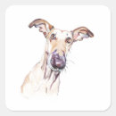 Search for greyhound stickers Elegant