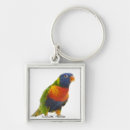 Search for animal world key rings Bird