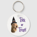 Search for airedale terrier accessories Canine