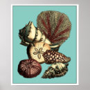 Search for underwater posters Anemone