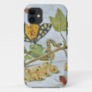 Search for insect cases Butterfly