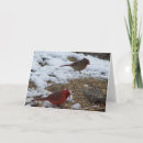 Search for birder cards Nature lover