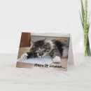 Search for cat hug Animal