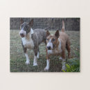 Search for bull terrier puzzles Cute