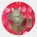 Search for merry christmas cat stickers Reindeer