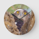 Search for danita delimont clocks Copy space