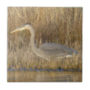 Search for blue heron tiles Herons