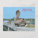 Search for waterbird postcards Animal