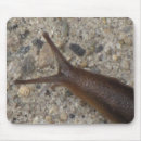 Search for slug electronics Slimy