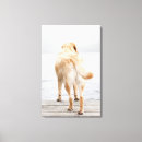 Search for loyalty art Domestic animals