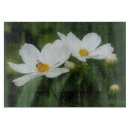 Search for bee chopping boards Nature