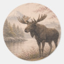 Search for moose stickers Animal
