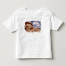 Search for arabia tshirts Desert