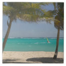 Search for indy photography Caribbean