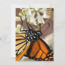 Search for monarch butterflies invitations Garden
