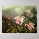 Search for martin johnson heade posters Bird