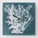 Search for coral clocks Coastal