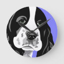 Search for springer spaniel Pets