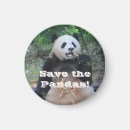 Search for bamboo kitchen dining Pandas