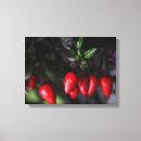 Search for chilly canvas prints Chilli pepper