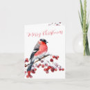 Search for bullfinch christmas cards Watercolor