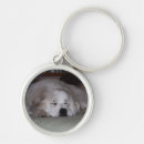 Search for dog show key rings Puppies