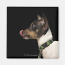 Search for tongue magnets Photography