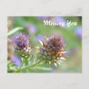 Search for thistles postcards Purple