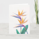 Search for bird paradise cards Jungle