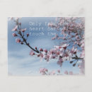 Search for tree spirits postcards Spirituality